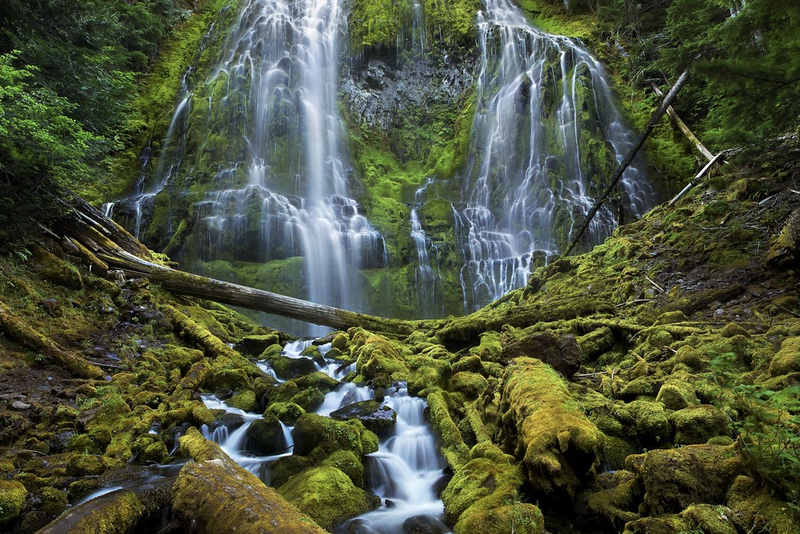 Illustration for article titled These Electrifying Photos Celebrate 50 Years Of USA's Wilderness Act
